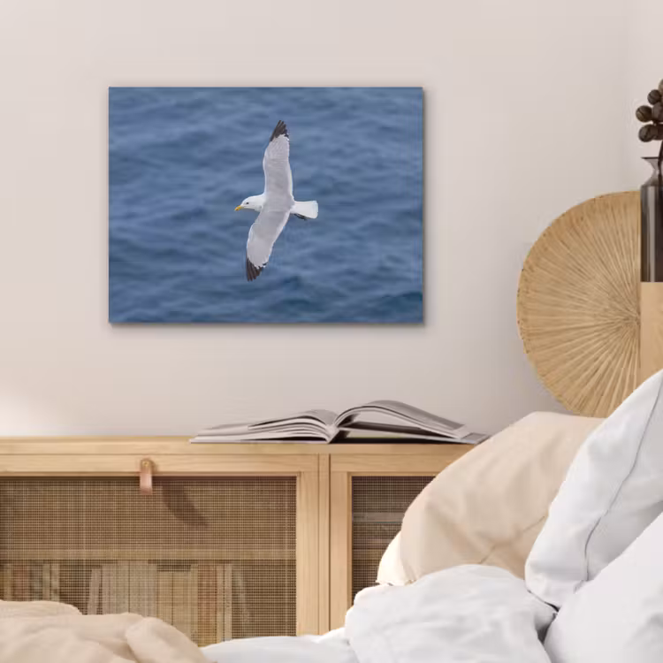 Zeemeeuw - Oceaan - Blauw PET vilt klein -sfeer3