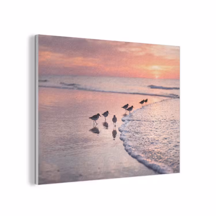 Meeuwen - Strand - Zee - Roze PET vilt klein -3d