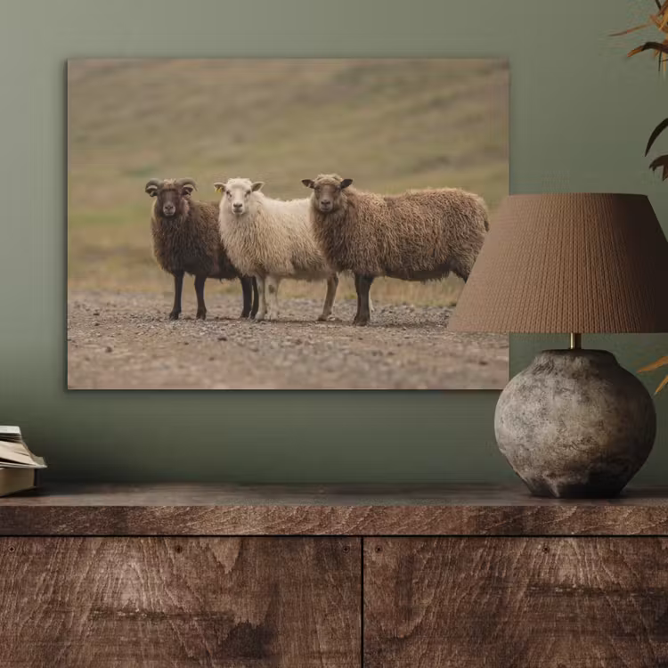 Schapen - Bruin - Wit - Grindpad PET vilt klein -sfeer2
