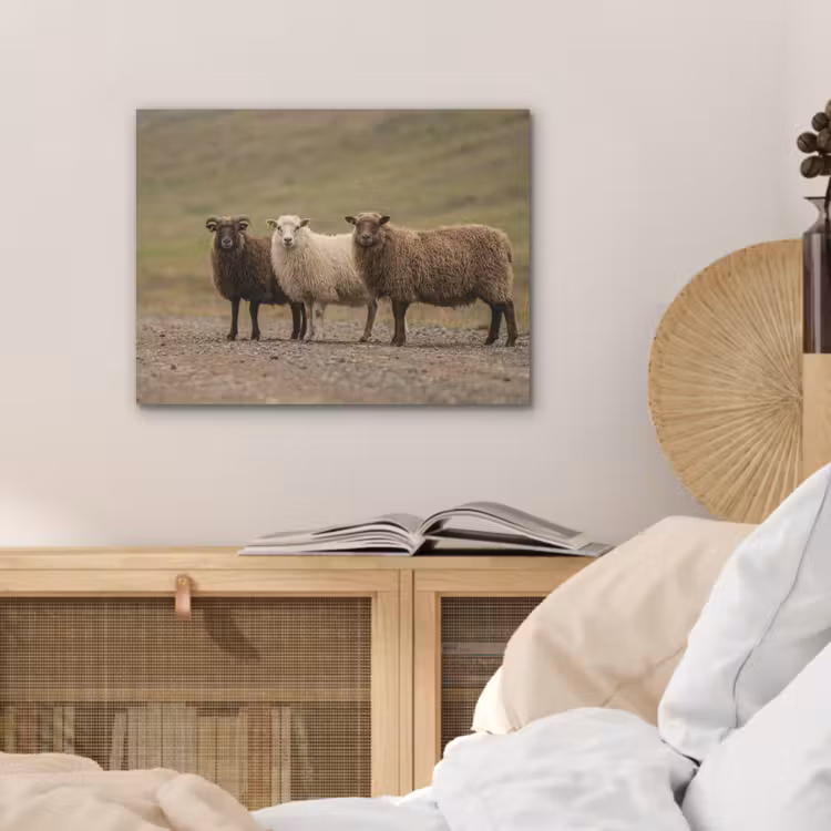 Schapen - Bruin - Wit - Grindpad PET vilt klein -sfeer3