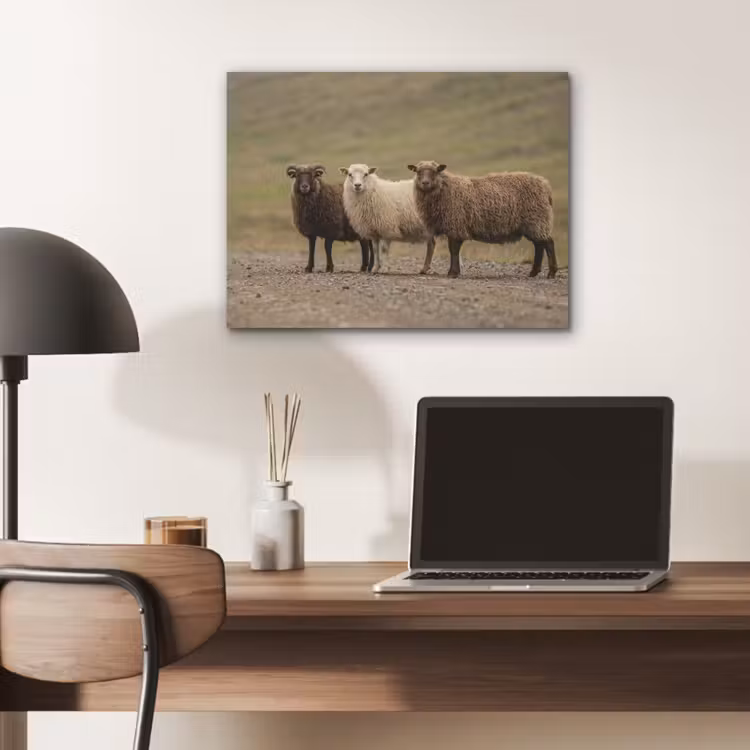 Schapen - Bruin - Wit - Grindpad PET vilt klein -sfeer5