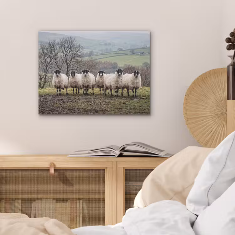 Schapen - Rij - Weide - Dieren - Platteland PET vilt klein -sfeer3