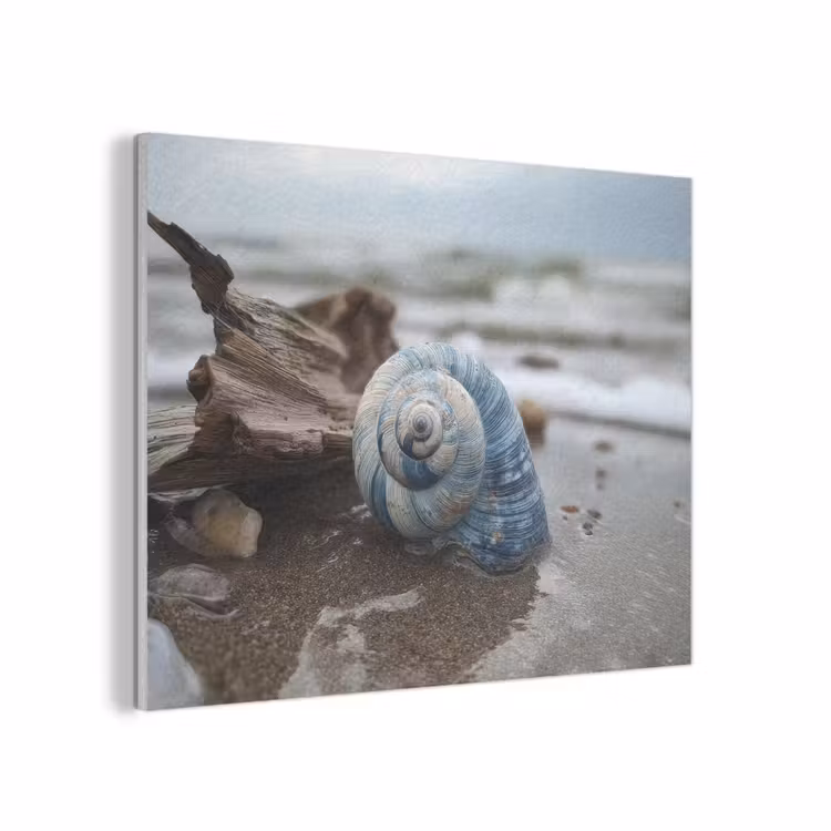 Schelp - Strand - Blauw - Zee PET vilt klein -3d