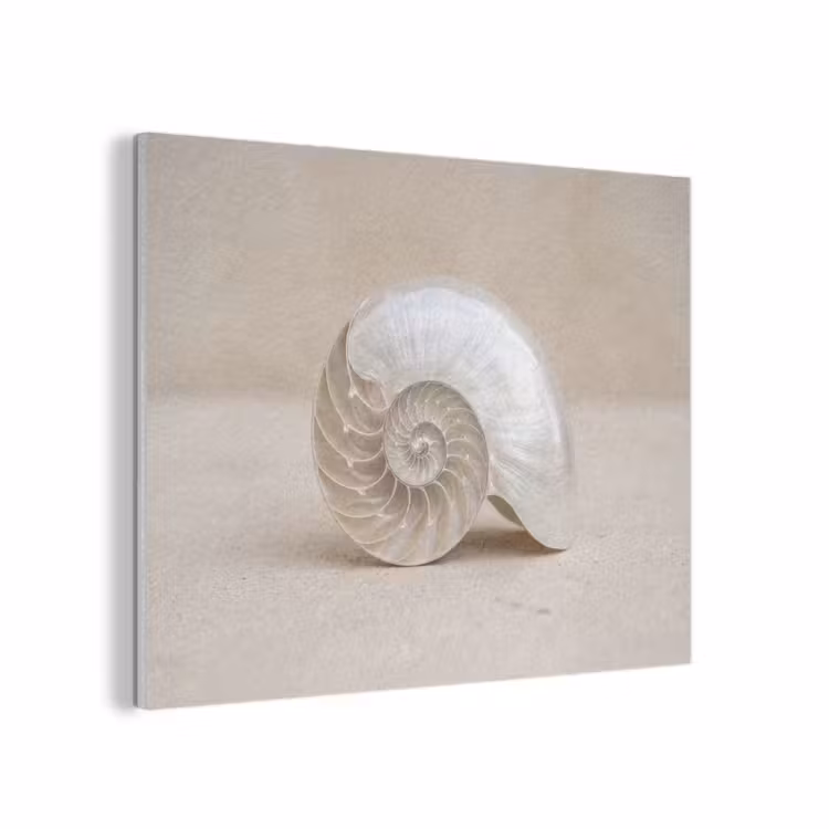 Schelp - Spiraal - Beige PET vilt klein -3d