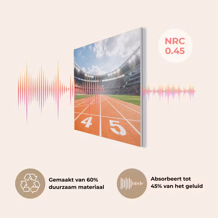 Sintelbaan - Stadion - Sport -Oranje PET vilt klein -USP_NL