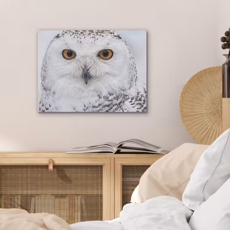 Sneeuwuil - Oog - Wildlife - Wit PET vilt klein -sfeer3