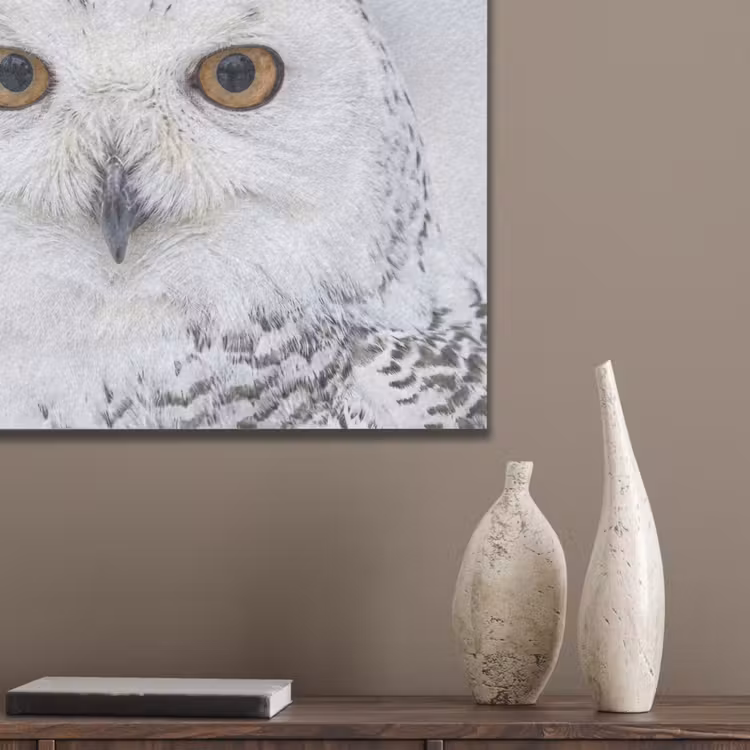 Sneeuwuil - Oog - Wildlife - Wit PET vilt klein -sfeer6_closeup
