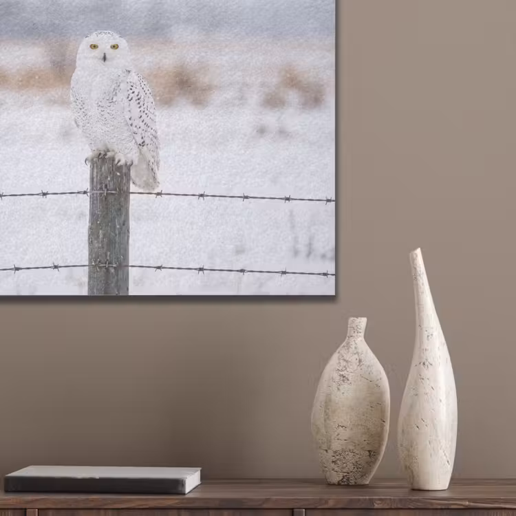 Sneeuwuil - Hek - Sneeuw - Wit PET vilt klein -sfeer6_closeup