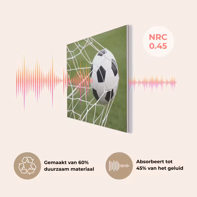 Voetbal - Goal - Net - Sport PET vilt klein -USP_NL