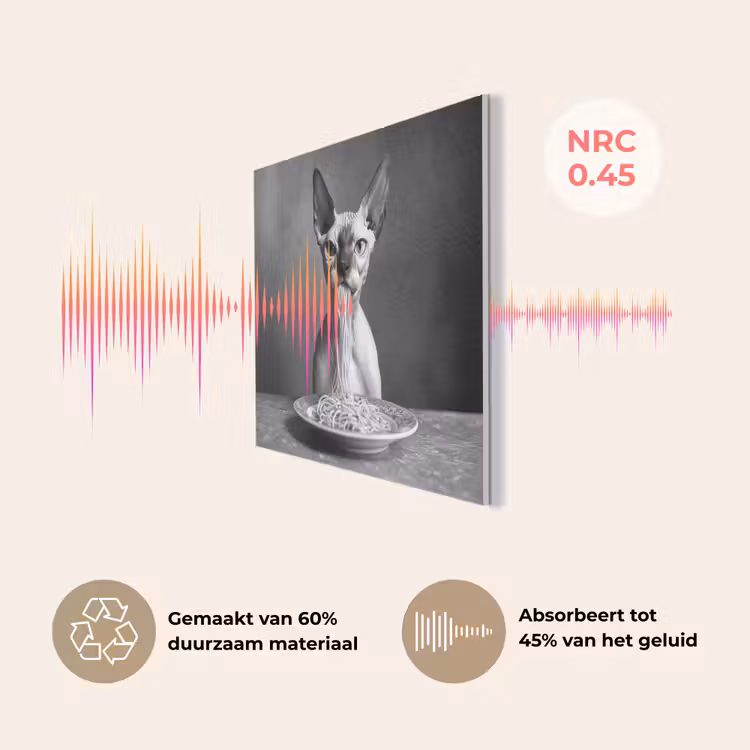 Sphynx - Kat - Dieren - Humor - Spaghetti - Zwart Wit PET vilt klein -USP_NL