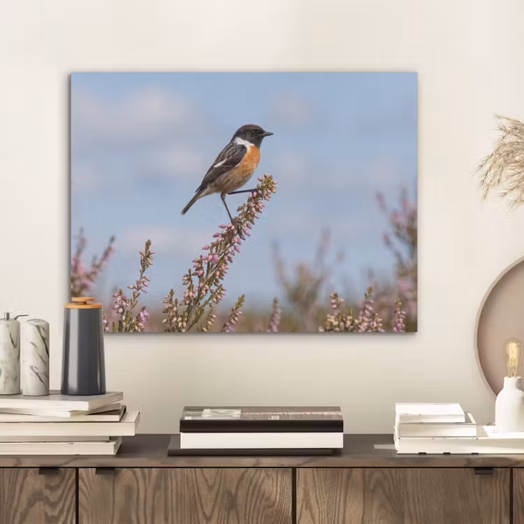 Roodborsttapuit - Heide - Paars - Natuur - Sfeervol PET vilt klein -sfeer1