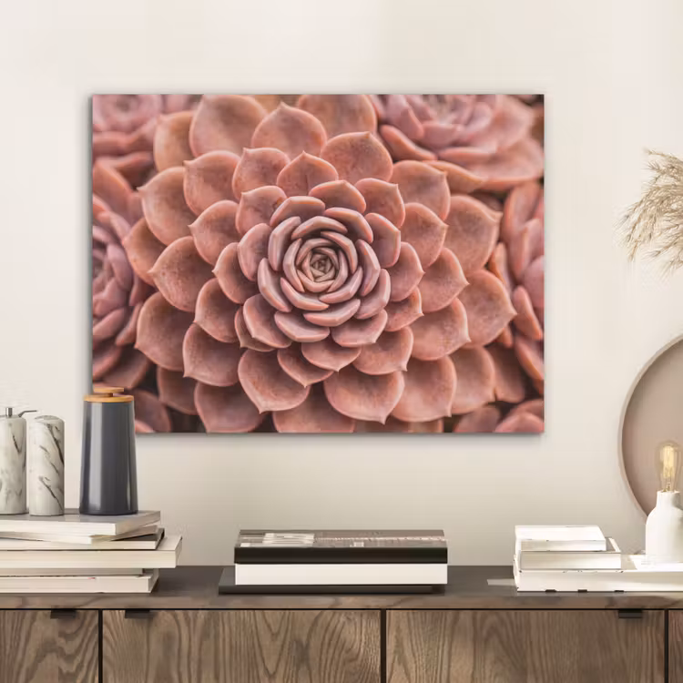 Vetplant - Organisch - Roze PET vilt klein -sfeer1