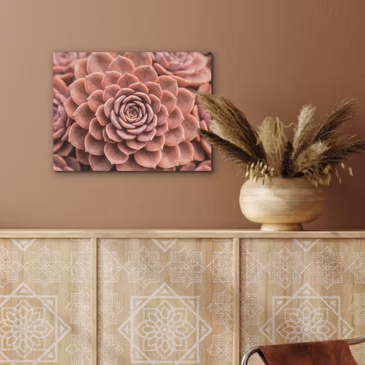 Vetplant - Organisch - Roze PET vilt klein -sfeer4