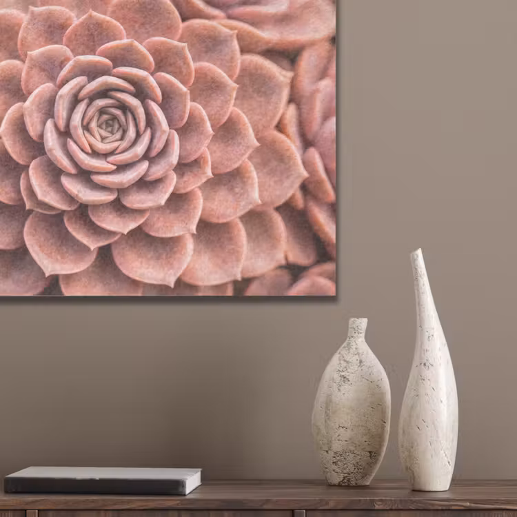Vetplant - Organisch - Roze PET vilt klein -sfeer6_closeup