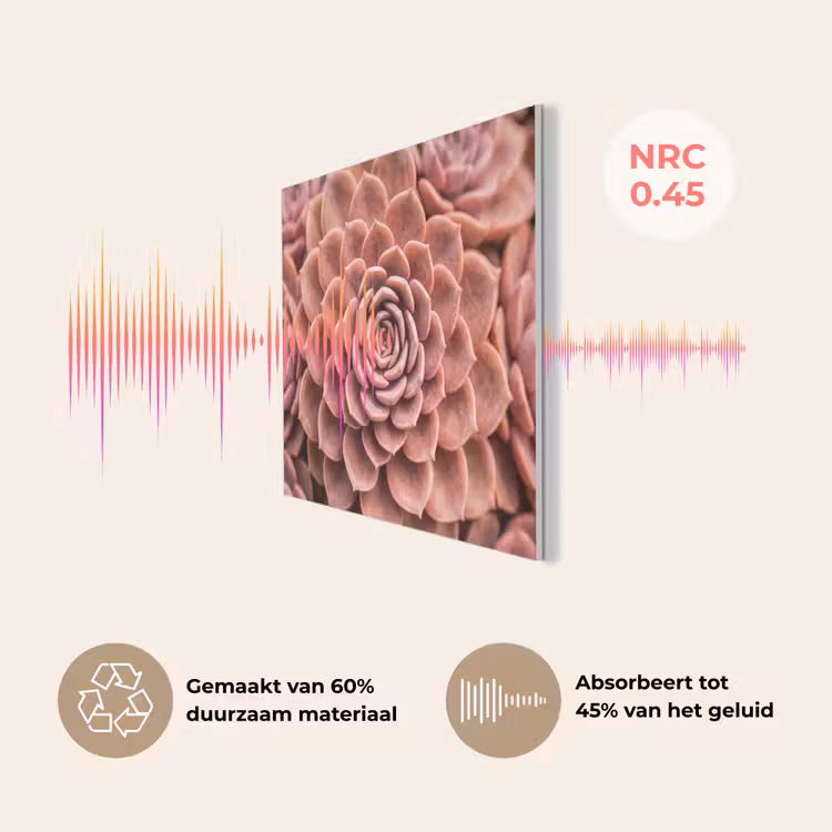 Vetplant - Organisch - Roze PET vilt klein -USP_NL