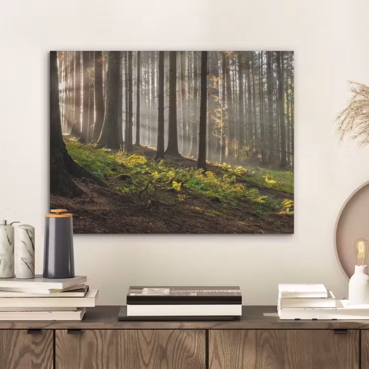 Zon - Takken - Bomen - Bos - Natuur PET vilt klein -sfeer1