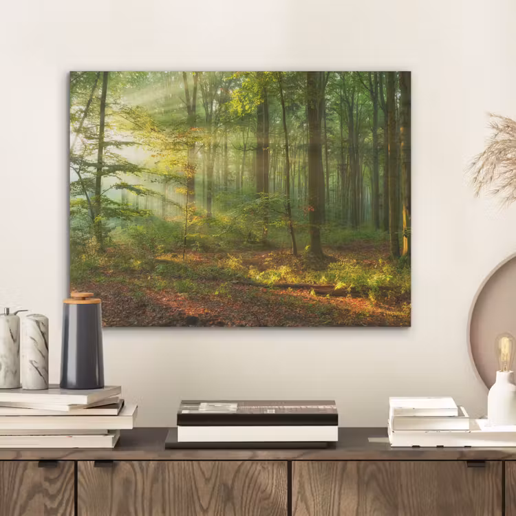 Zon - Bos - Bomen - Natuur - Herfst PET vilt klein -sfeer1