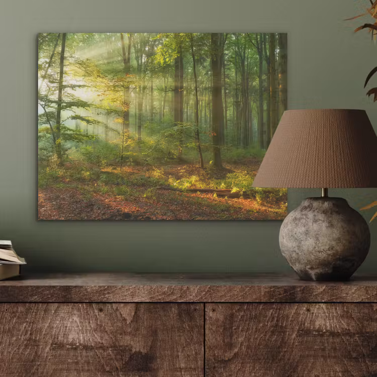 Zon - Bos - Bomen - Natuur - Herfst PET vilt klein -sfeer2