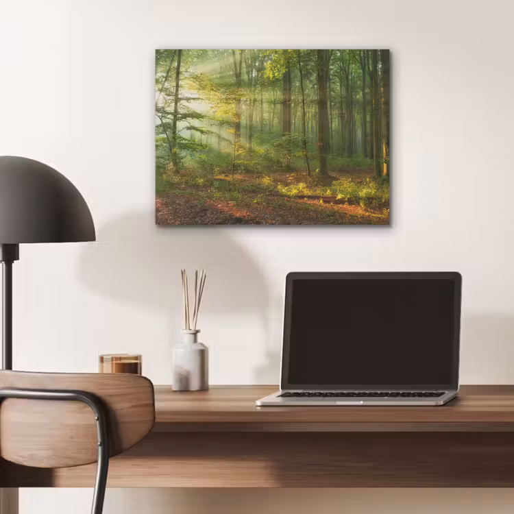 Zon - Bos - Bomen - Natuur - Herfst PET vilt klein -sfeer5