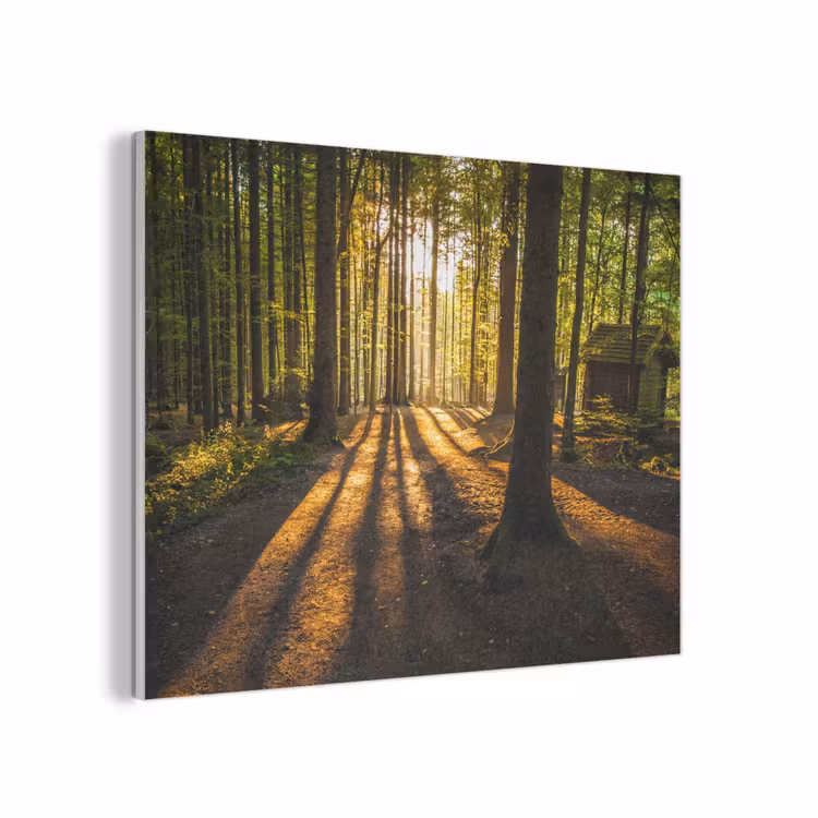 Zon - Bomen - Bos - Landschap - Natuur PET vilt klein -3d