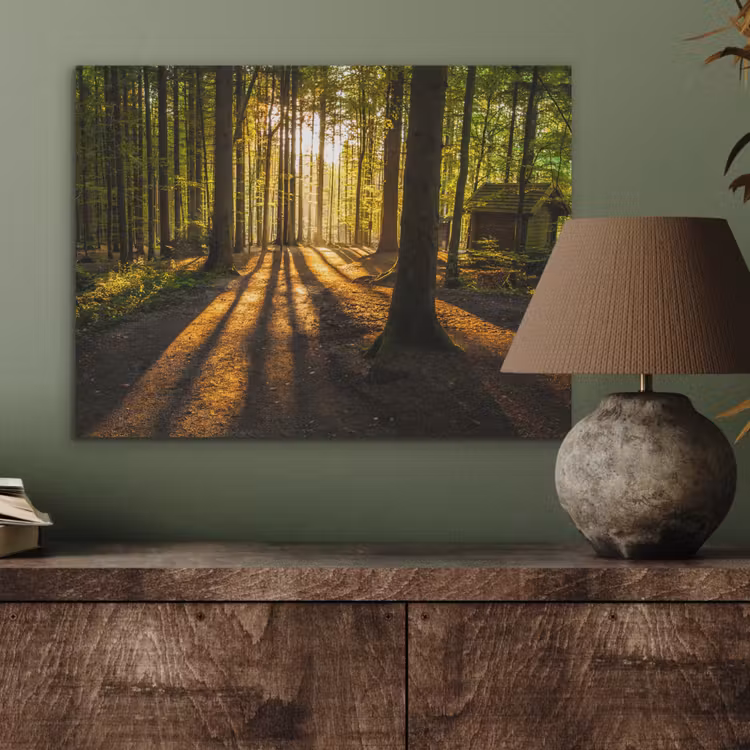Zon - Bomen - Bos - Landschap - Natuur PET vilt klein -sfeer2