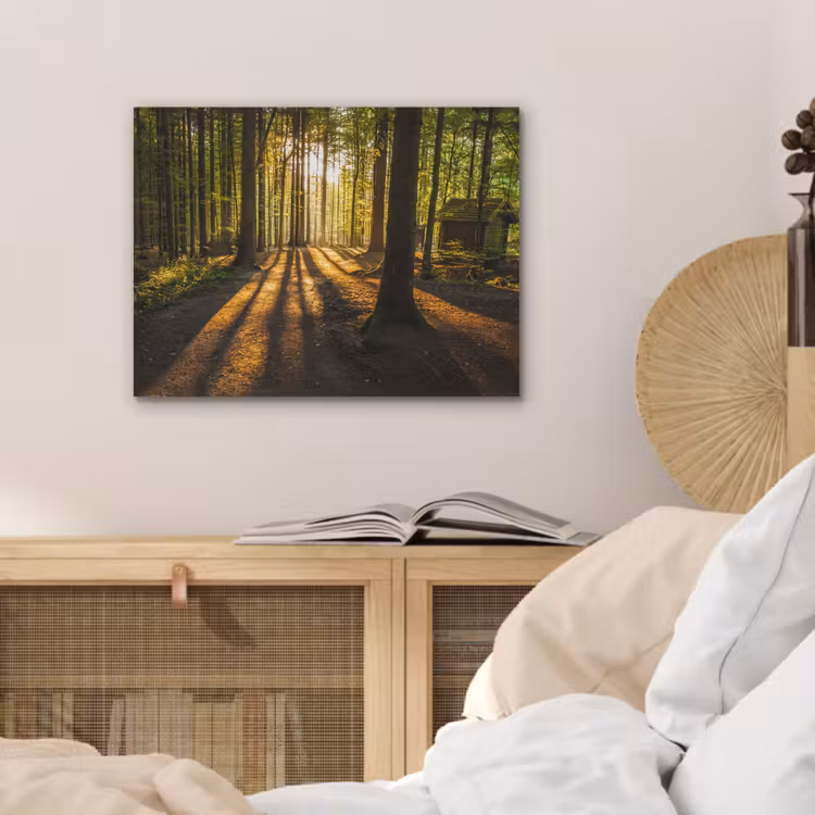 Zon - Bomen - Bos - Landschap - Natuur PET vilt klein -sfeer3