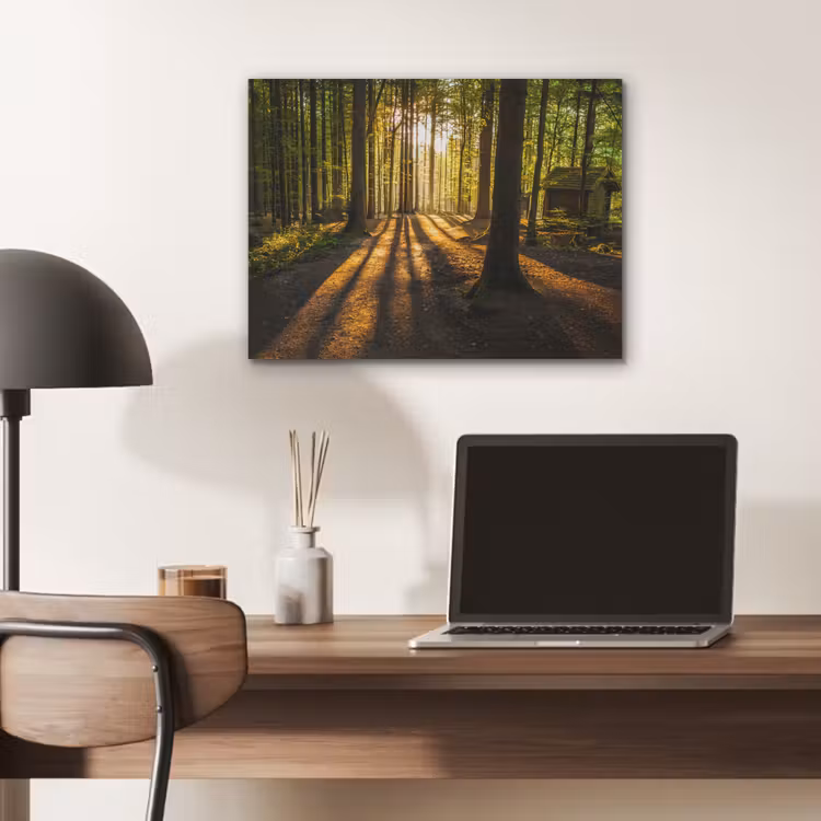 Zon - Bomen - Bos - Landschap - Natuur PET vilt klein -sfeer5