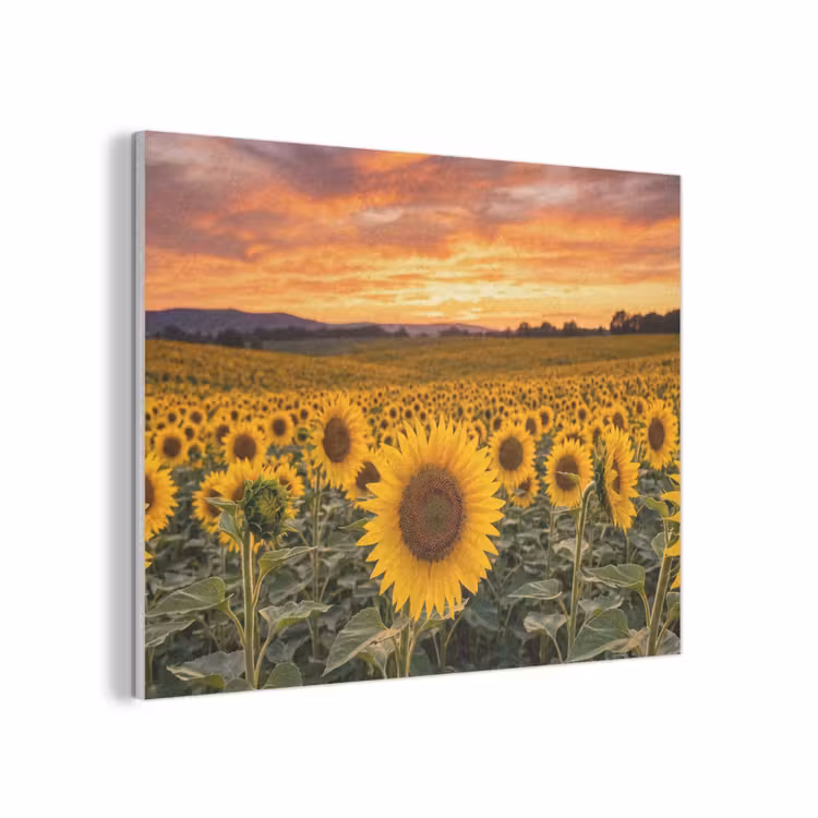 Zonnebloemen - Heuvellandschap - Geel PET vilt klein -3d