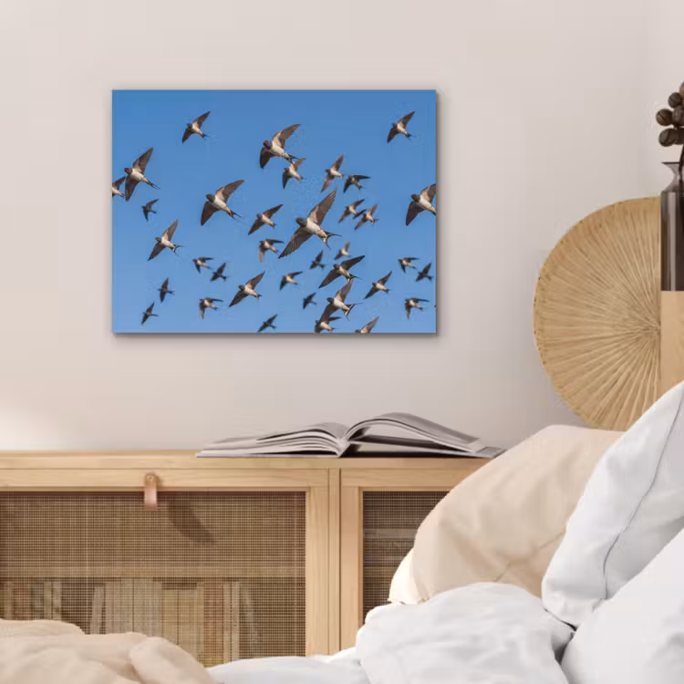Zwaluwen - Vliegen - Blauw PET vilt klein -sfeer3