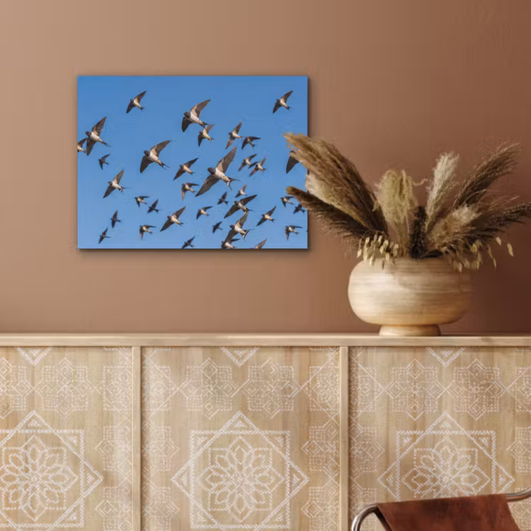 Zwaluwen - Vliegen - Blauw PET vilt klein -sfeer4