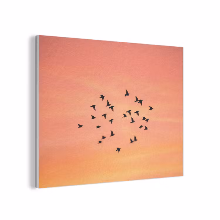 Zwerm - Vogels - Oranje PET vilt klein -3d
