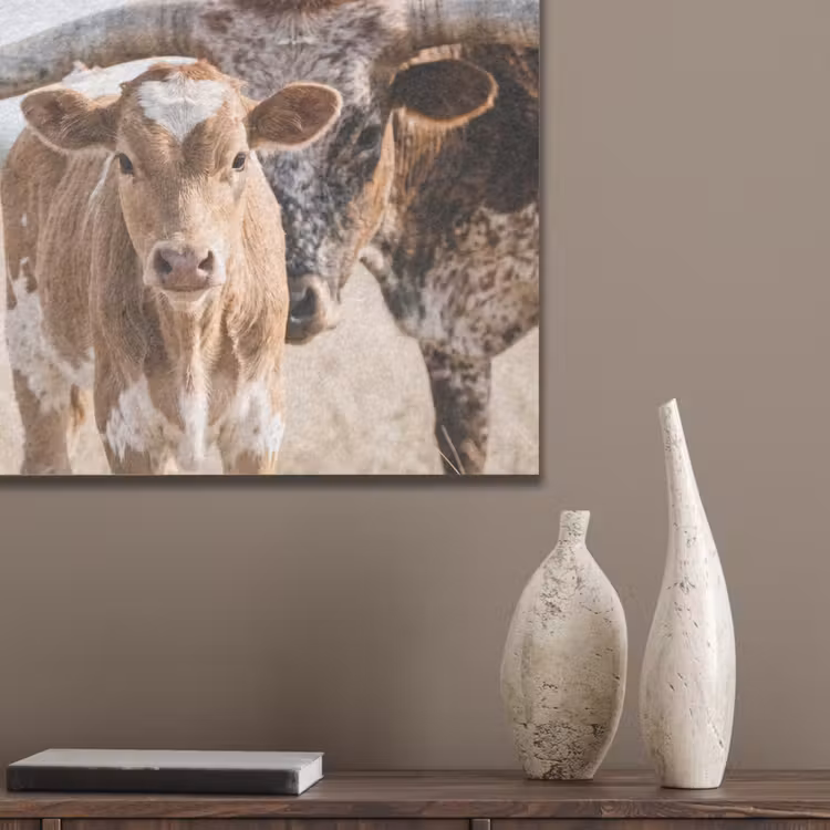 Texas Longhorn - Kalf - Weide - Dieren PET vilt klein -sfeer6_closeup
