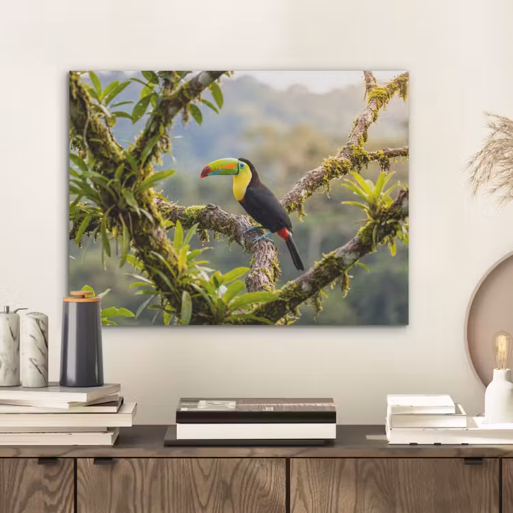 Toekan - Jungle - Natuur - Kleurrijk PET vilt klein -sfeer1