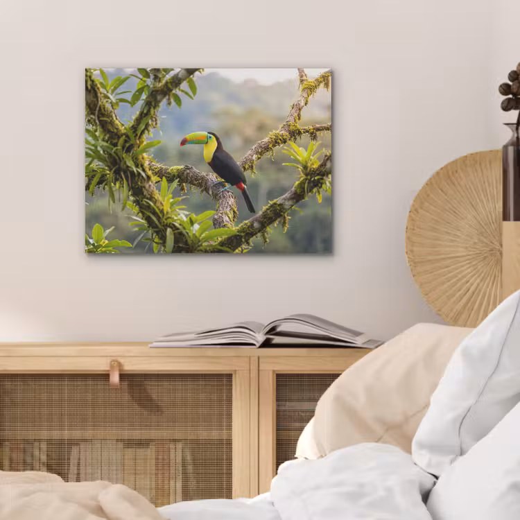 Toekan - Jungle - Natuur - Kleurrijk PET vilt klein -sfeer3
