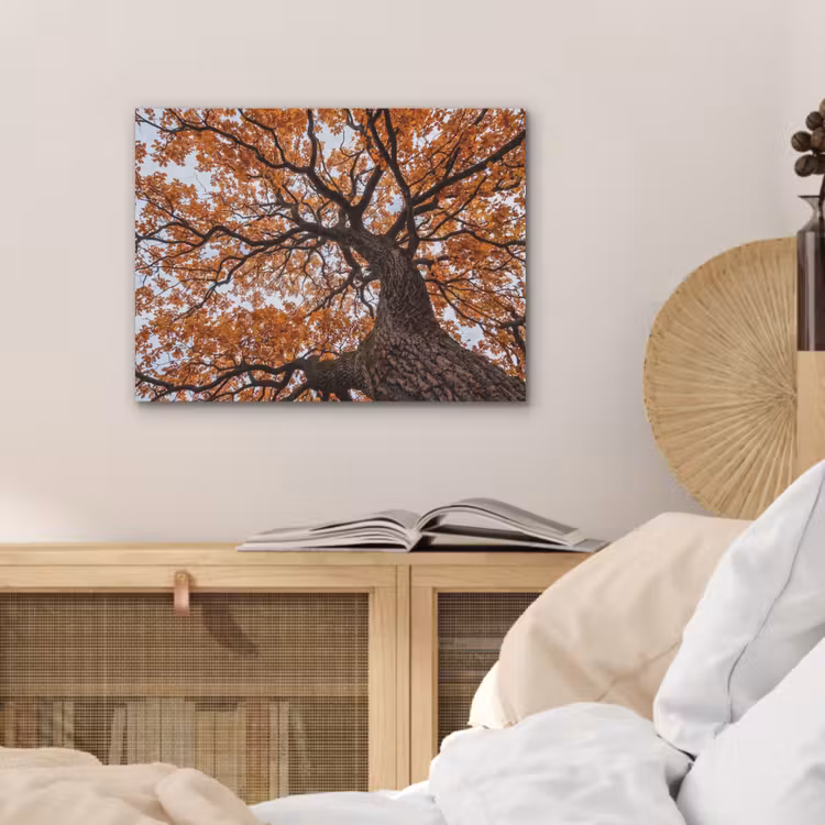 Boom - Bladerdak - Herfst - Oranje - Sfeervol PET vilt klein -sfeer3