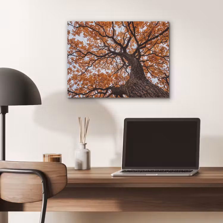 Boom - Bladerdak - Herfst - Oranje - Sfeervol PET vilt klein -sfeer5