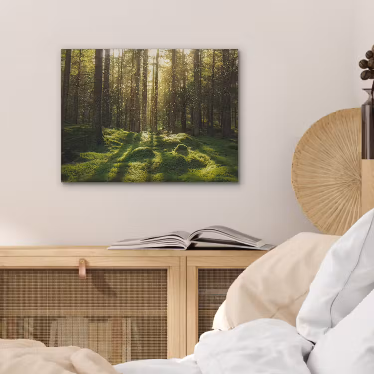 Bomen - Bos - Mos - Planten - Zon - Natuur PET vilt klein -sfeer3