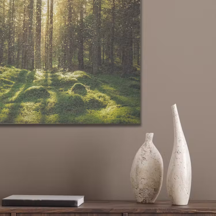 Bomen - Bos - Mos - Planten - Zon - Natuur PET vilt klein -sfeer6_closeup