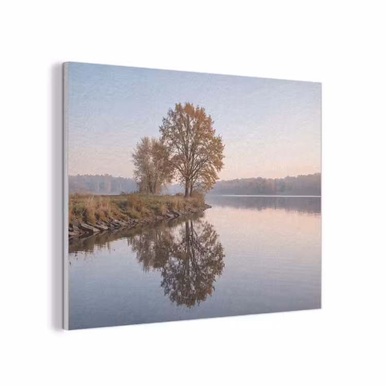 Bomen - Reflectie - Water - Zonsopgang - Serene PET vilt klein -3d