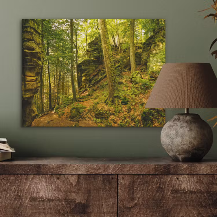 Bomen - Steen - Bos - Natuur - Planten PET vilt klein -sfeer2