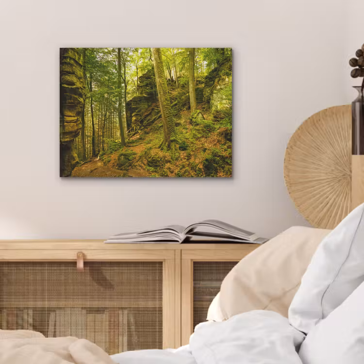 Bomen - Steen - Bos - Natuur - Planten PET vilt klein -sfeer3
