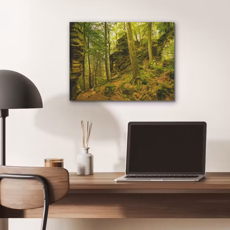 Bomen - Steen - Bos - Natuur - Planten PET vilt klein -sfeer5