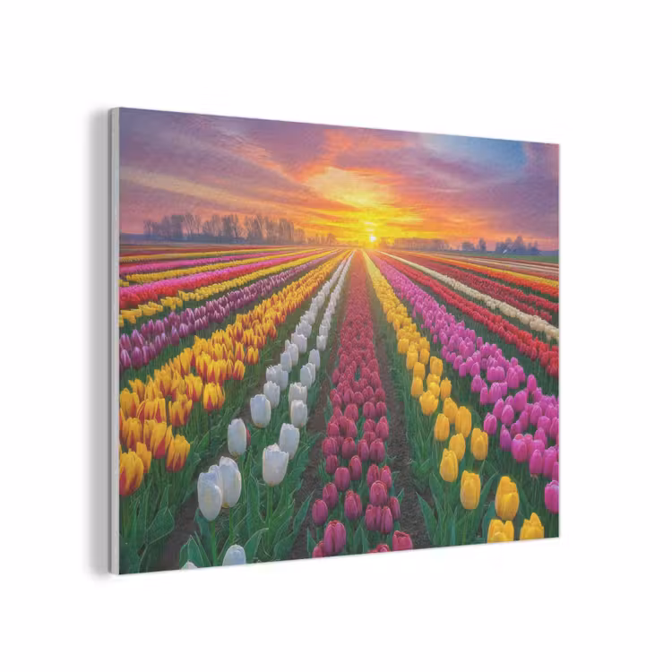 Tulpenveld - Zonsondergang - Kleurrijk PET vilt klein -3d
