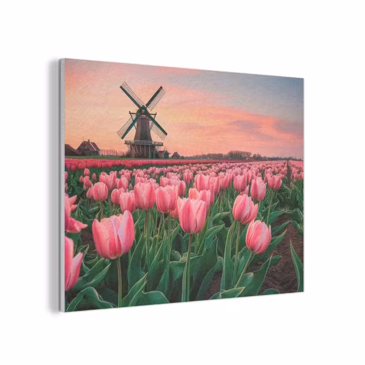 Tulpen - Molen - Nederland PET vilt klein -3d