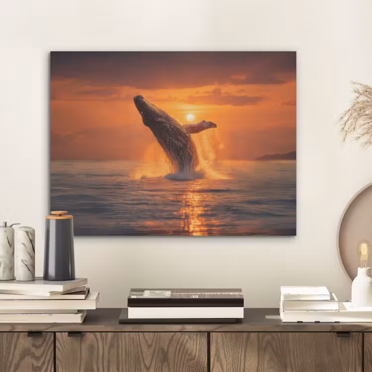 Walvis - Zon - Zee PET vilt klein -sfeer1