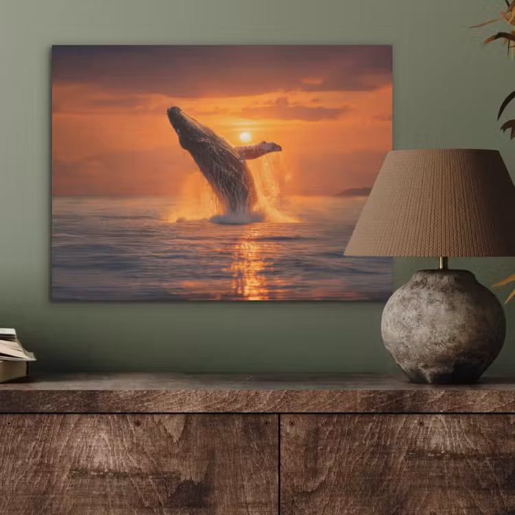 Walvis - Zon - Zee PET vilt klein -sfeer2