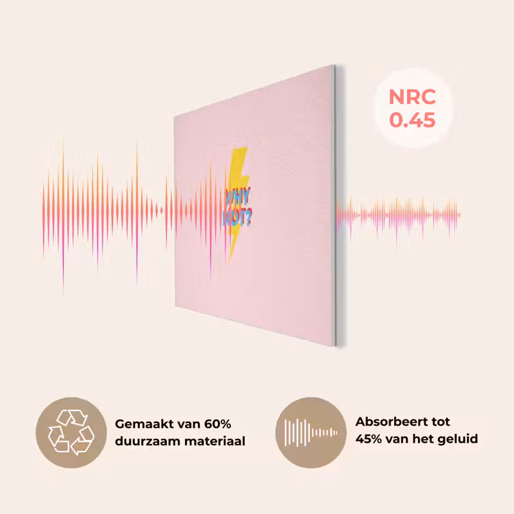 Why not - Bliksem - Roze PET vilt klein -USP_NL