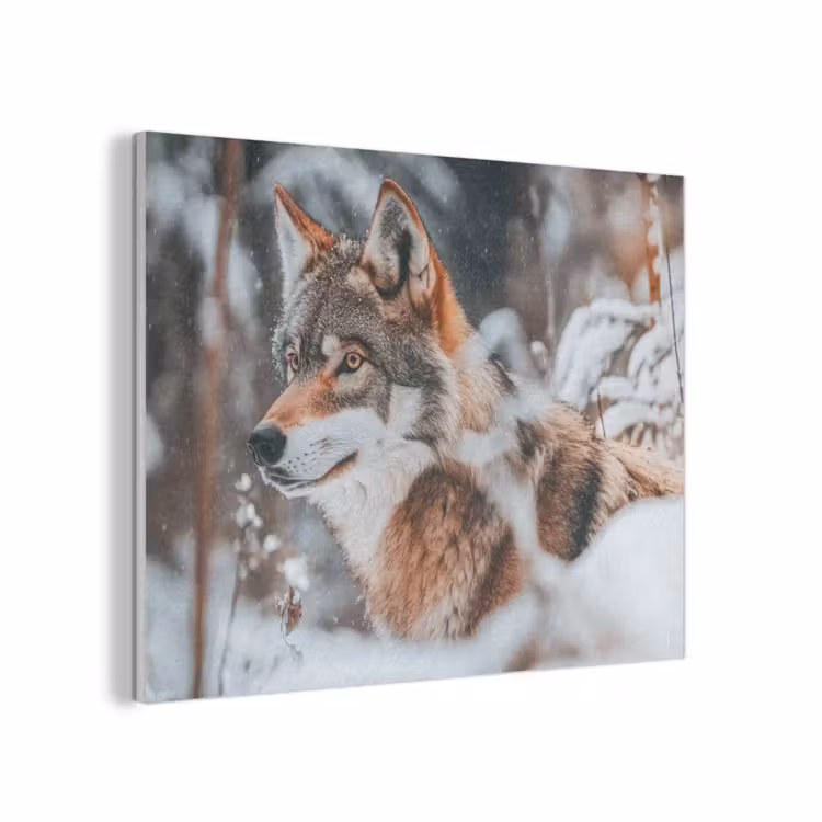 Wolf - Sneeuw - Winter - Dieren - Natuur - Sneeuw PET vilt klein -3d