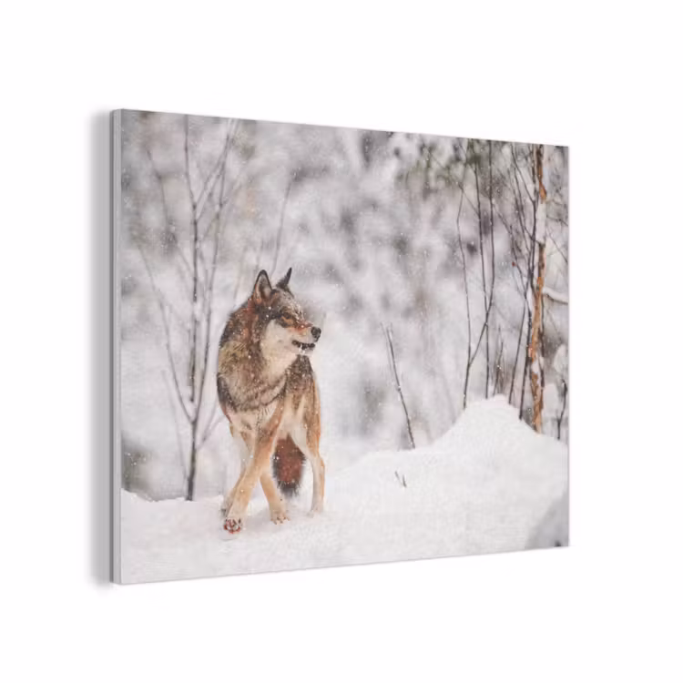 Wolf - Winter - Sneeuw - Natuur - Dieren PET vilt klein -3d