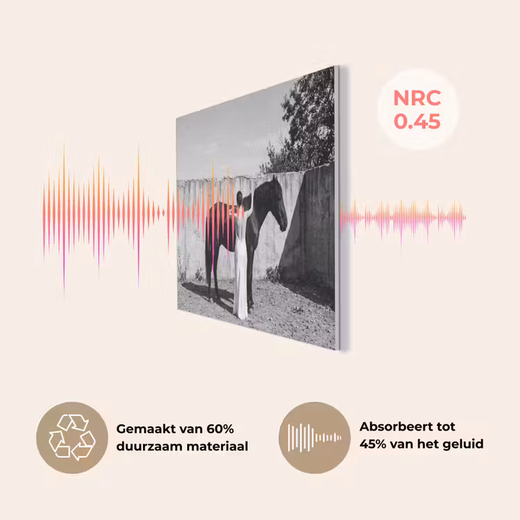 Vrouw - Paard - Artistiek PET vilt klein -USP_NL